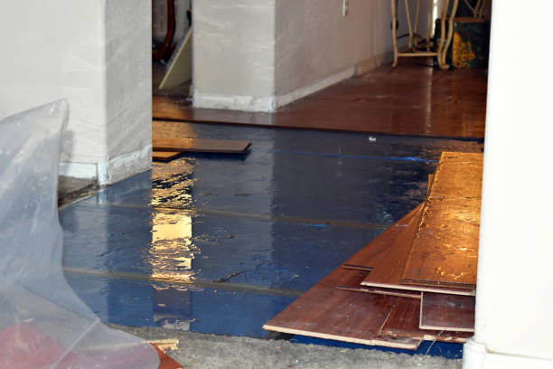 Professional Burst Pipe Water Damage technician working in Lane, KS
